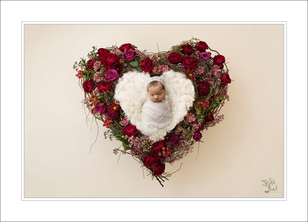 Seattle newborn photographer